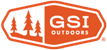 GSI_logo.png