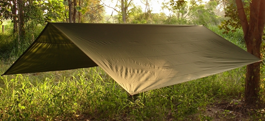 mosquito_tarp-3.jpg mosquito_tarp-3.jpg