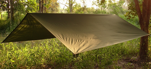 mosquito_tarp-3.jpg